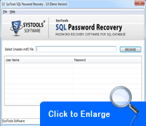 sql password recovery screenshot