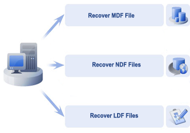 SQL Database