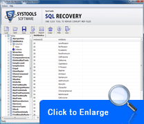 sql recovery screenshot