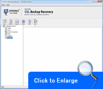 sql backup recovery screenshot